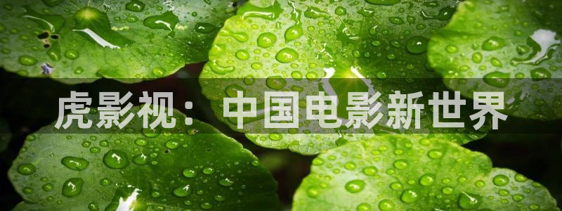 第九影院最新电影大全