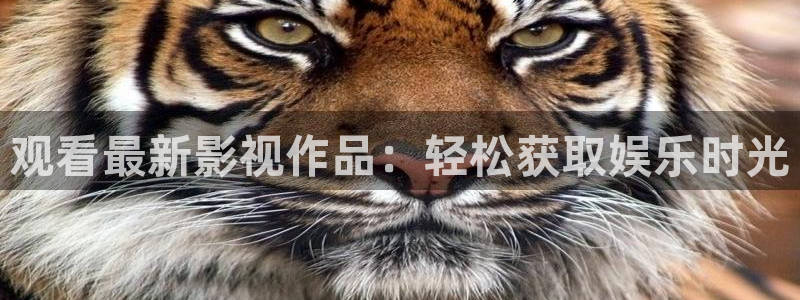 第九成人影院在线：观看最新影视作品：轻松获取娱乐时光