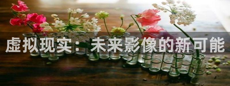 第九电影院免费高清：虚拟现实：未来影像的新可能