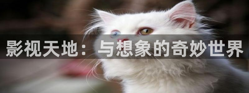 神马电影院第九：影视天地：与想象的奇妙世界