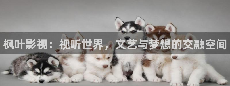 第九影院视频：枫叶影视：视听世界，文艺与梦想的交融空间