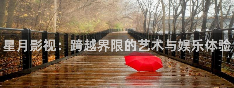 第九影院成人：星月影视：跨越界限的艺术与娱乐体验